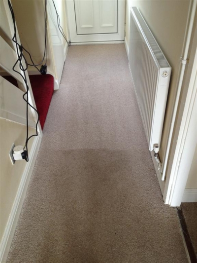 Carpet cleaning Herts